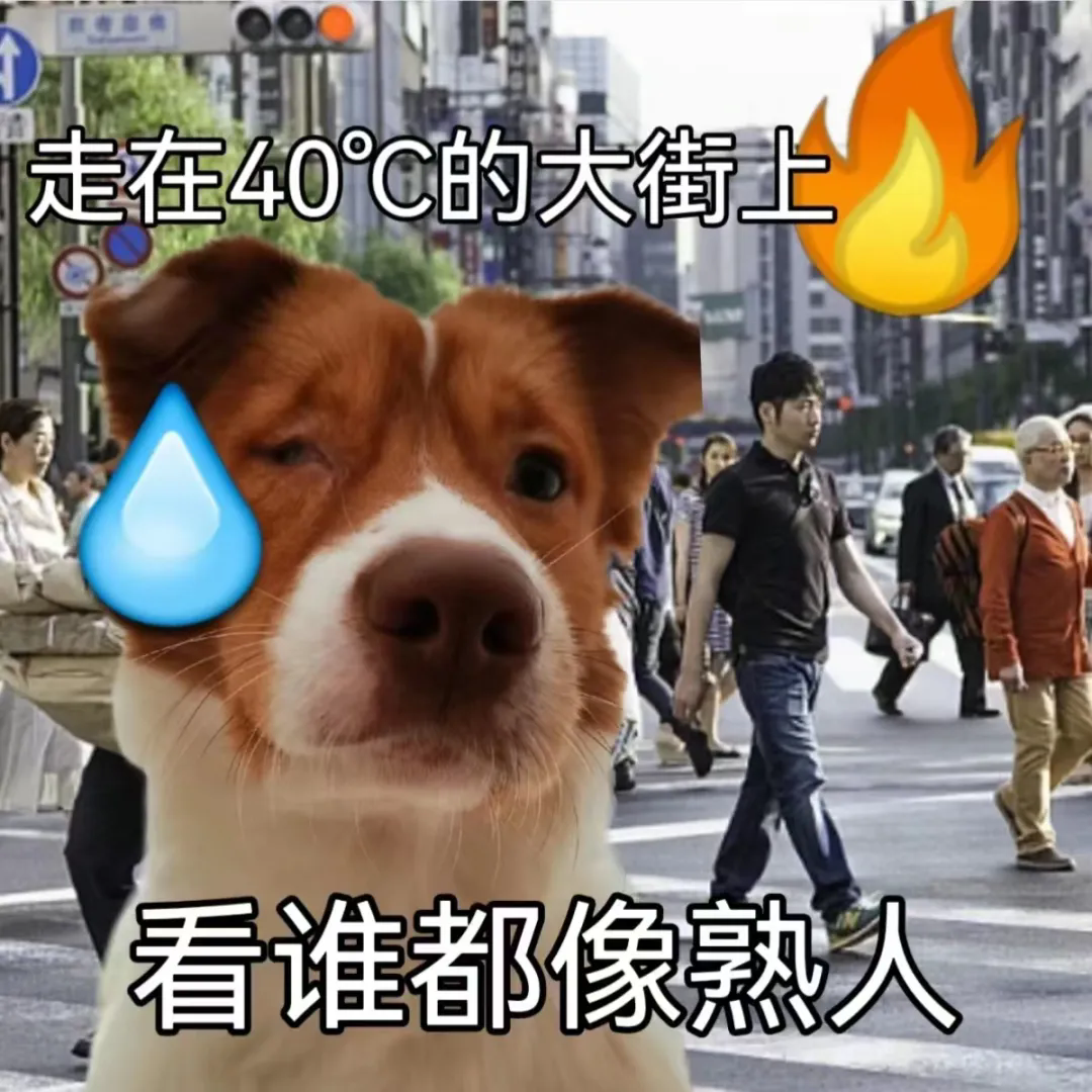 789.webp.png